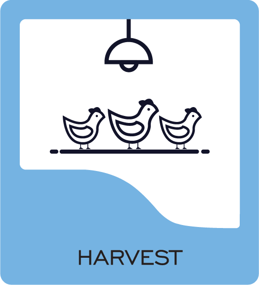 harvest